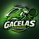 Gacelas greenpadel
