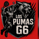 Los pumas