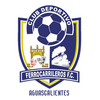 Club Deportivo Ferrocarrileros