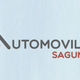 Automóviles Sagunto pádel Team 