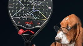 26 de noviembre de 2025