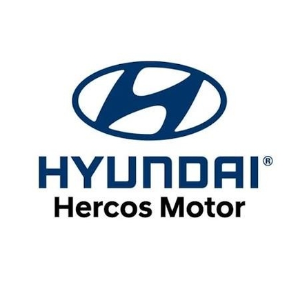 Hyundai Hercos