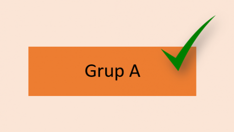 Ja tenim el Grup A de la LEP BRONZE!